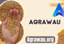 agrawau