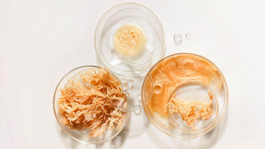 Discover the Benefits of Holistic Brand Sea Moss: A Natural Way to Boost Your Health